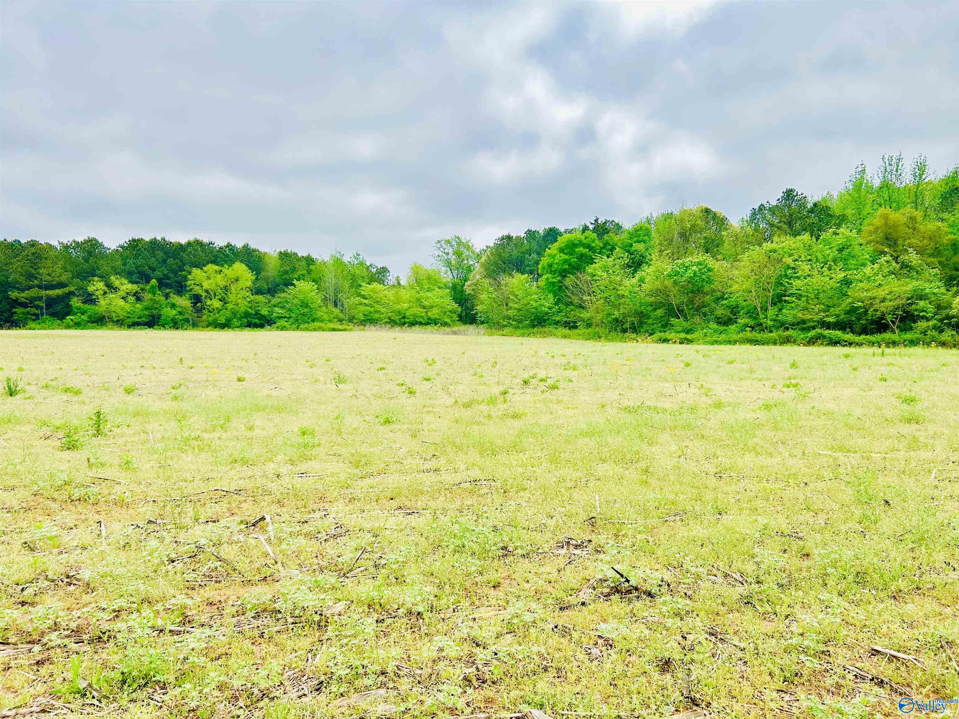17 Acres Highway 72, Huntsville, Alabama image 17