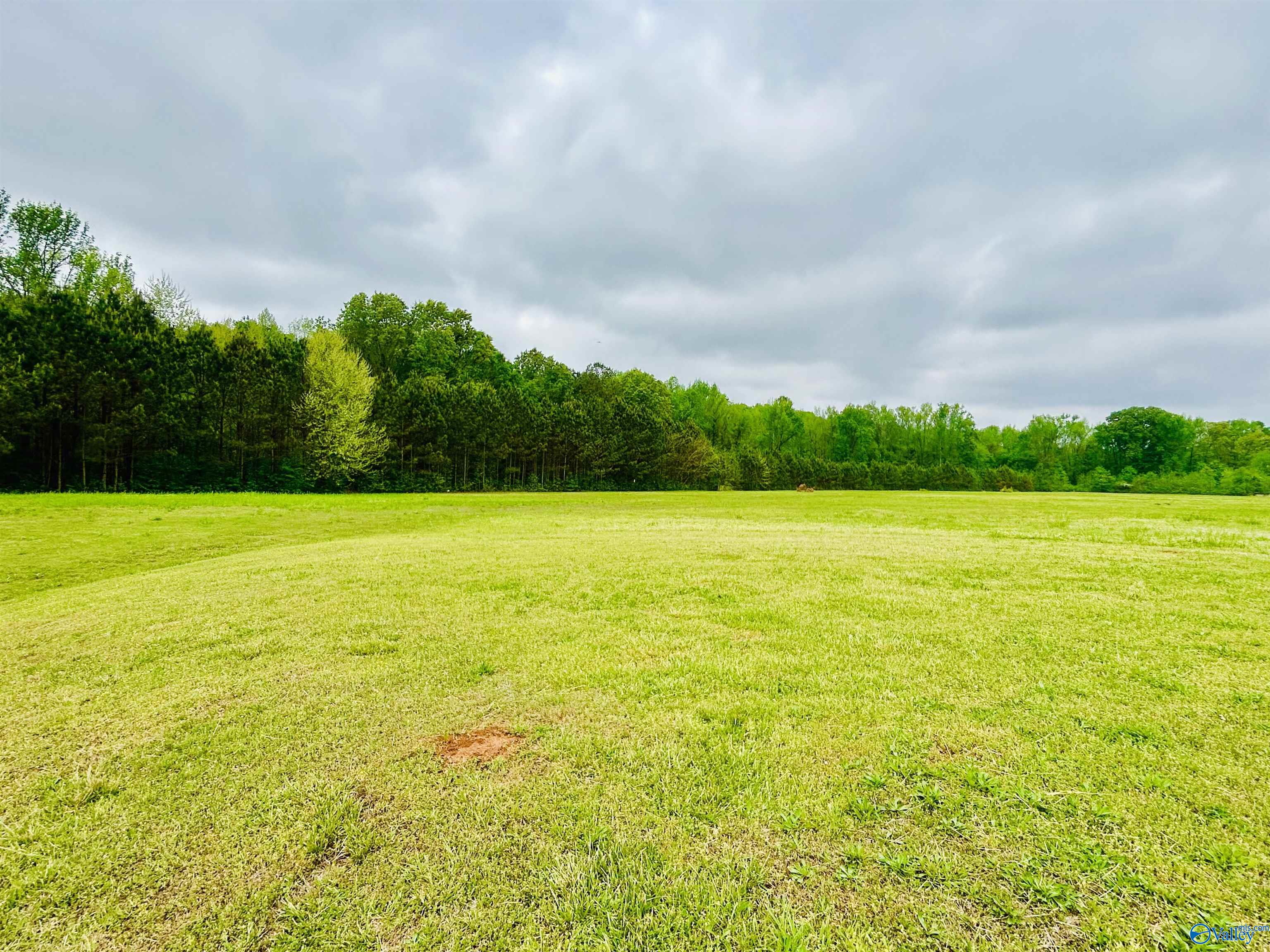 17 Acres Highway 72, Huntsville, Alabama image 7