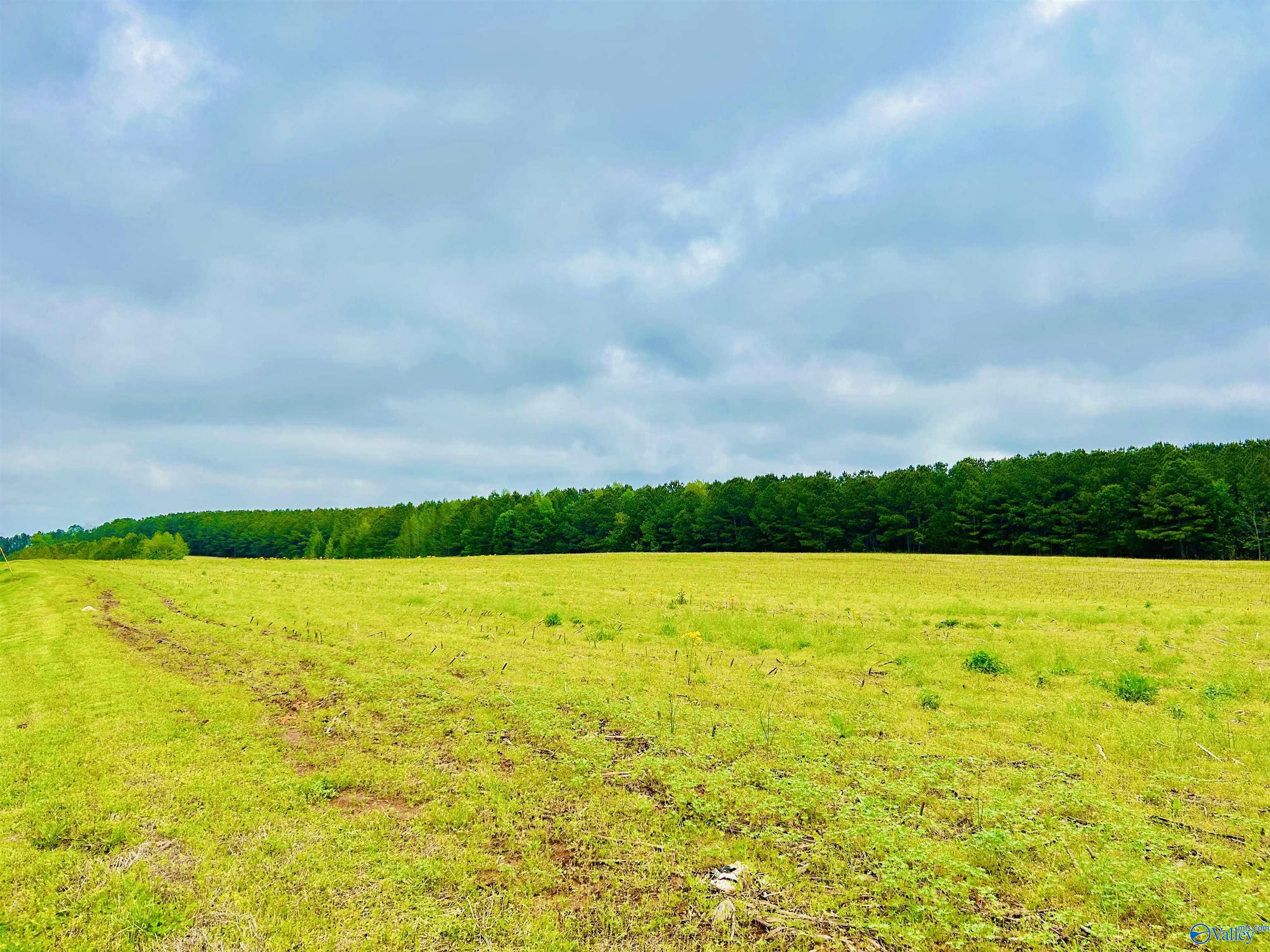 17 Acres Highway 72, Huntsville, Alabama image 15