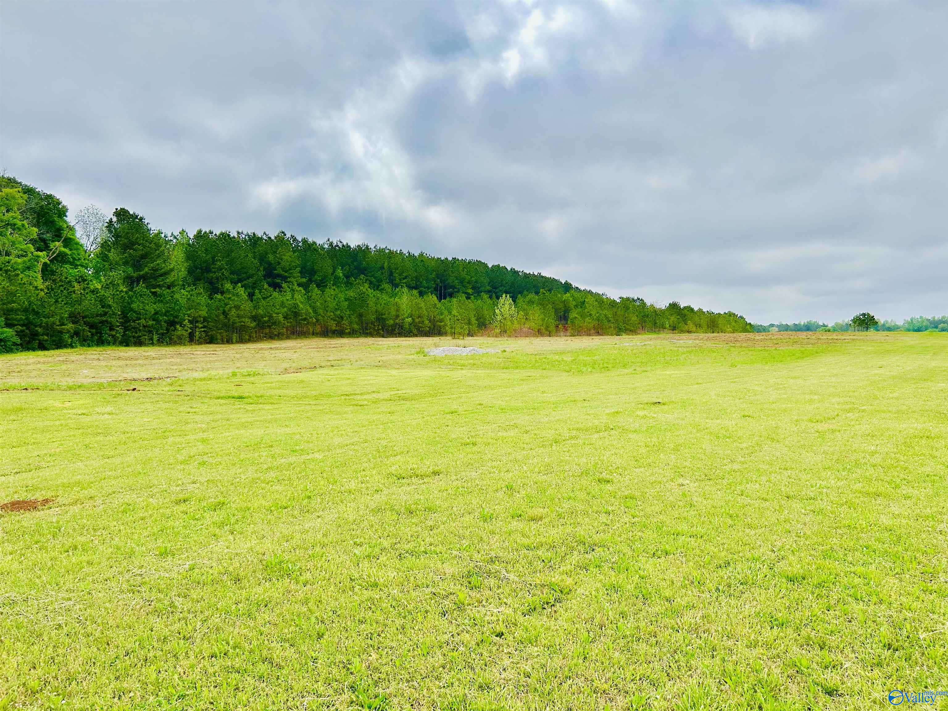 17 Acres Highway 72, Huntsville, Alabama image 18