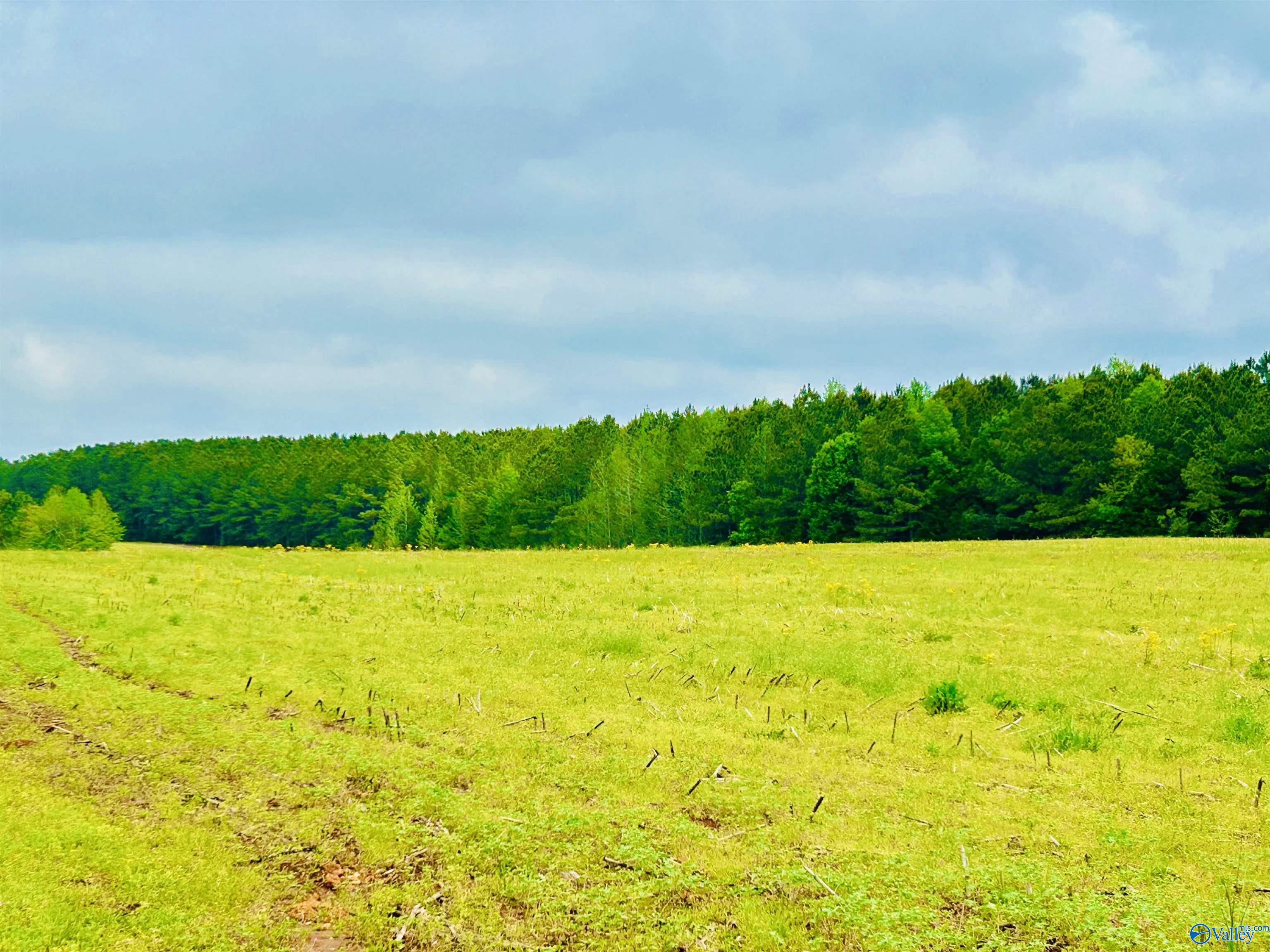 17 Acres Highway 72, Huntsville, Alabama image 19