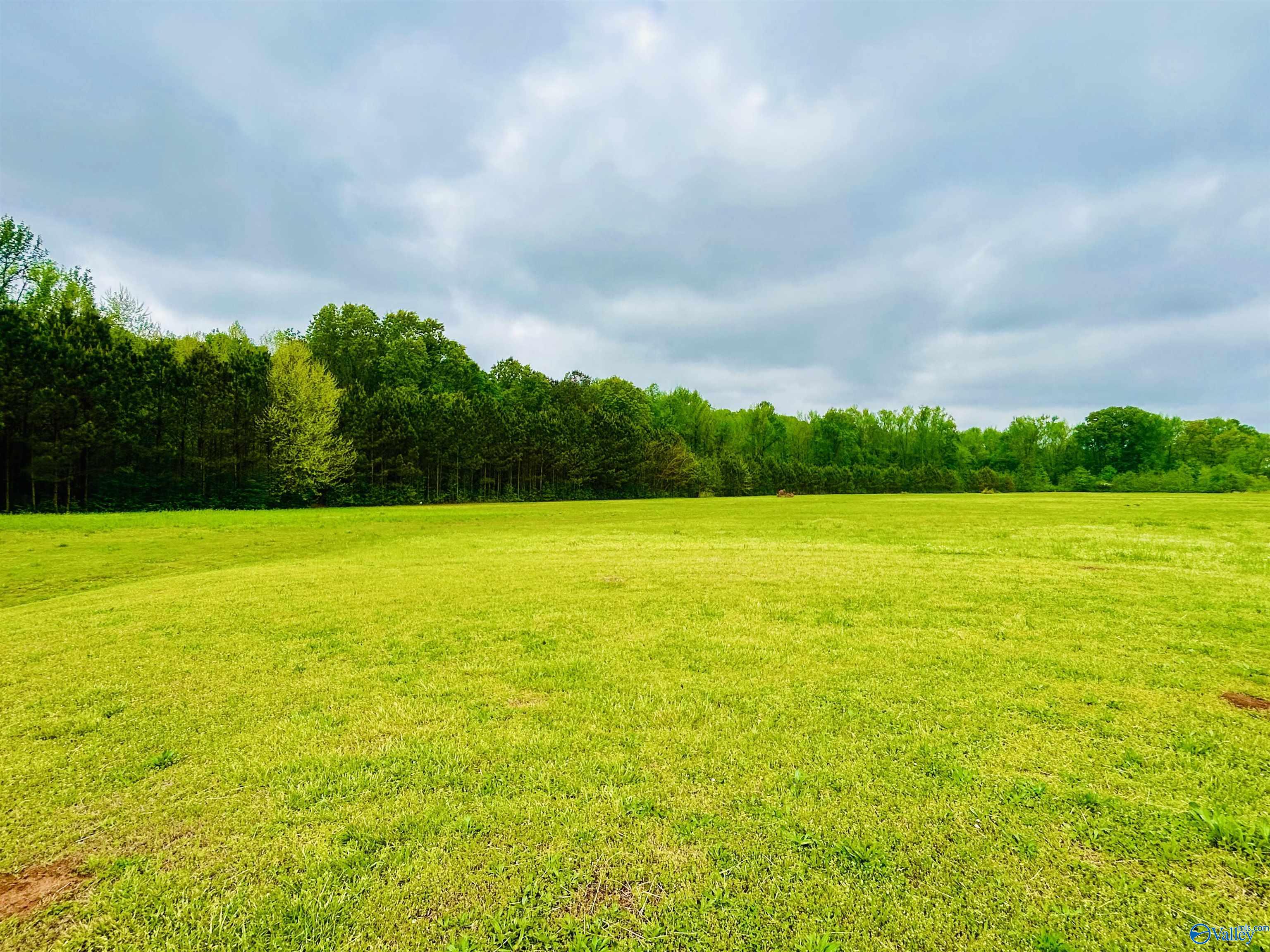 17 Acres Highway 72, Huntsville, Alabama image 11