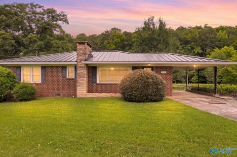 Homes For Sale - 6843 County Highway 41<br/> Altoona, AL 35952