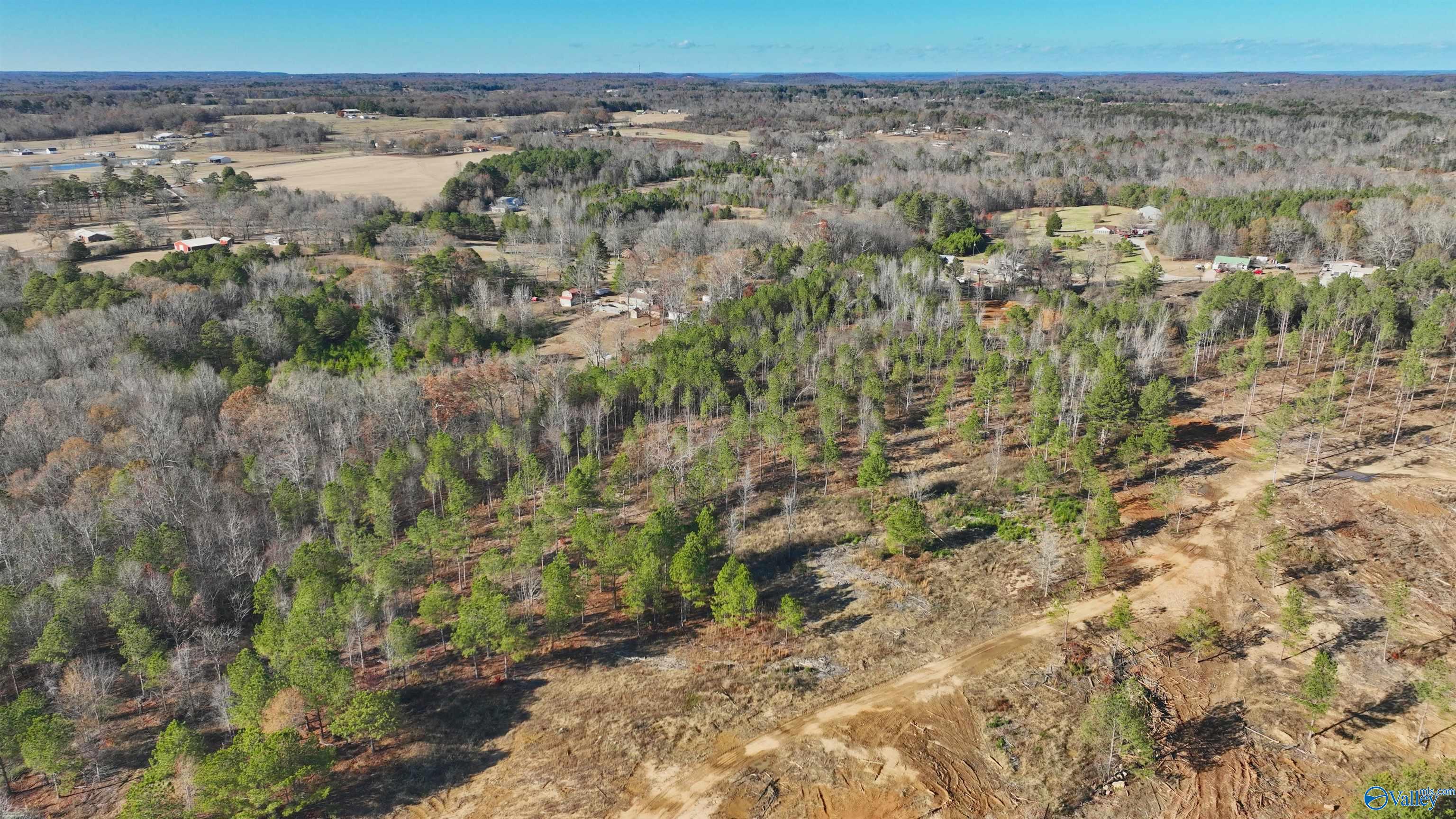 8 Conway Road, Decatur, Alabama image 8