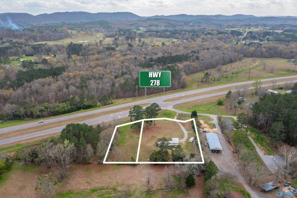 4196 OAK ST, HOKES BLUFF, AL 35903 - Image 675686bbff341f2017e7363686d055de/2294208315