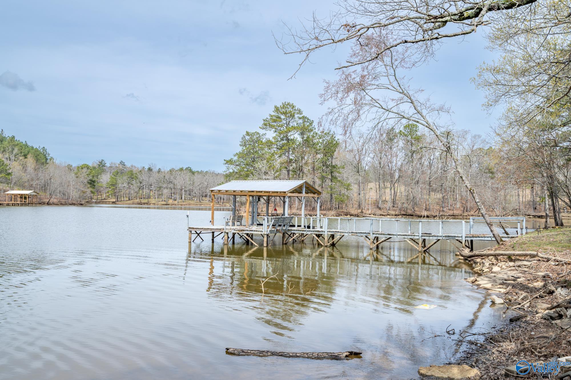 258 County Road 941, Cedar Bluff, Alabama image 27