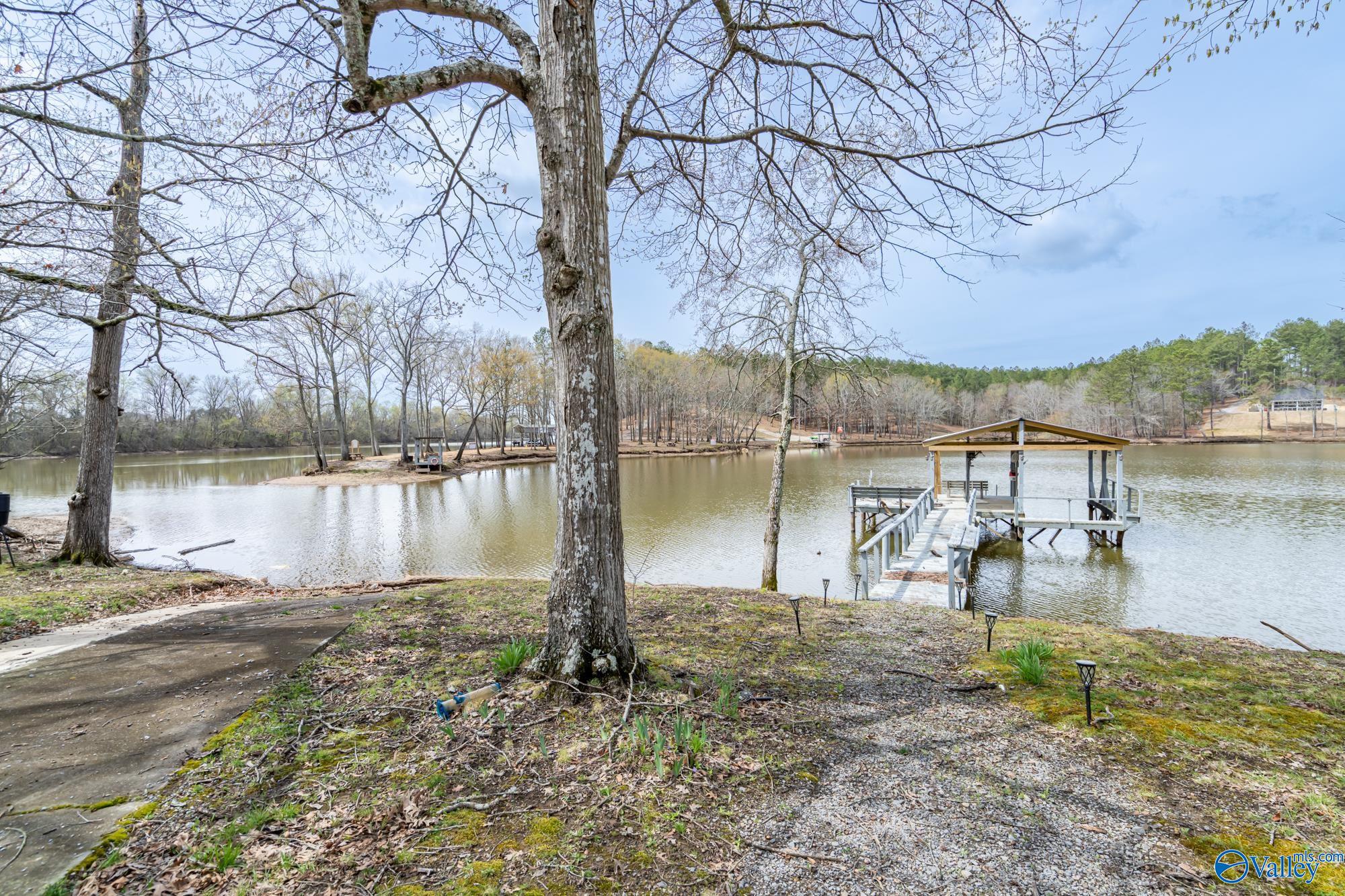 258 County Road 941, Cedar Bluff, Alabama image 25