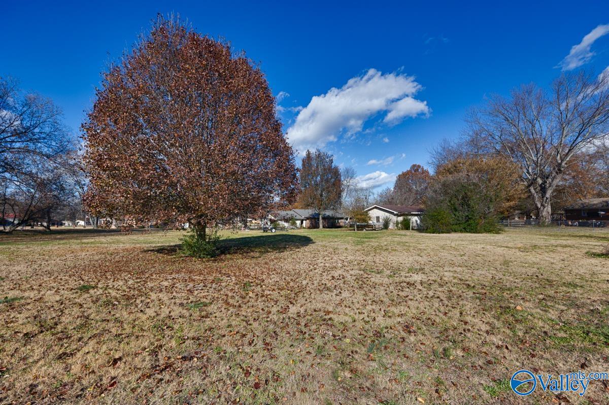 30109 Fort Hampton Street, Ardmore, Tennessee image 22