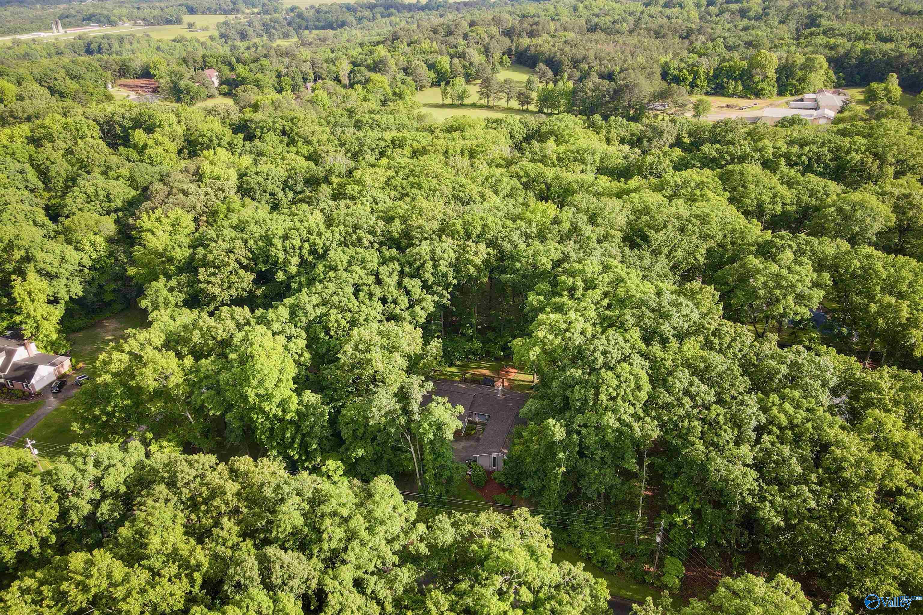 3103 Burningtree Mountain Road, Decatur, Alabama image 5