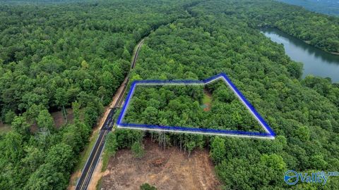 Vacant Land For Sale - 1770 County Road 103<br/> Cherokee County, Mentone, AL 35984