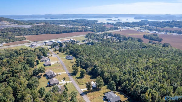 ADDRESS PRIVATE, GUNTERSVILLE, AL  - Image 679f4c5061dcf48f33a98d448a8d3f7d/3273821817