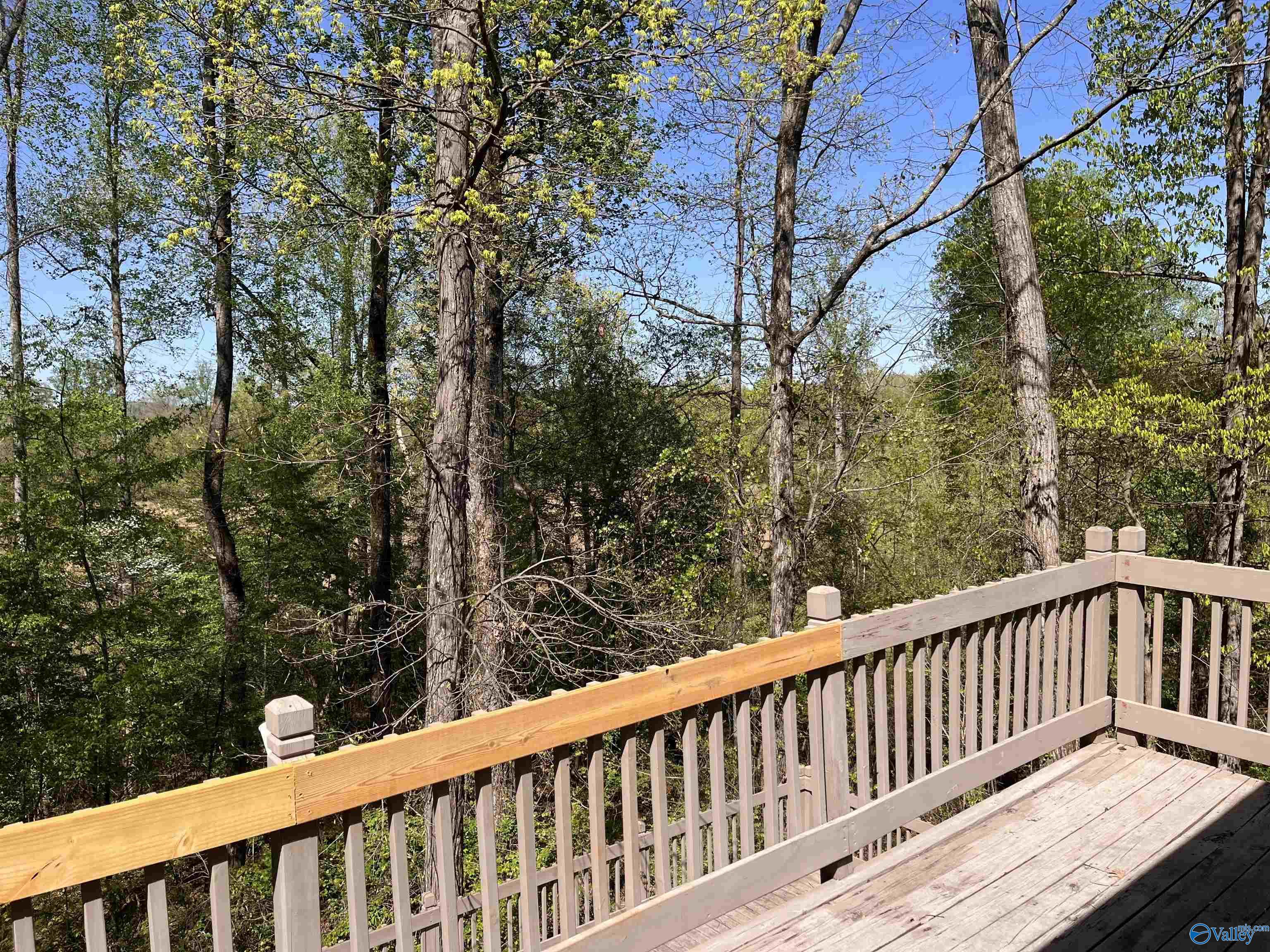 305 NE Riverside Drive, Huntsville, Alabama image 9