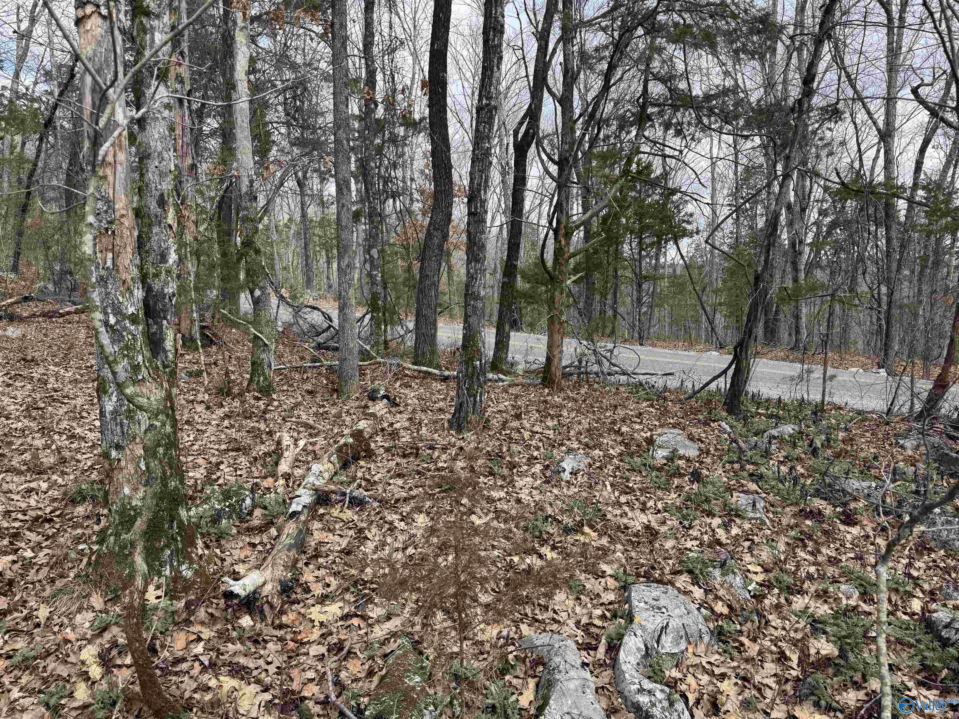53 County Road 21, Scottsboro, Alabama image 3