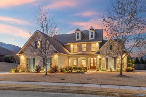 Photo of 4305 Flint Drive, Owens Cross Roads, AL 35763 (MLS # 21911522)