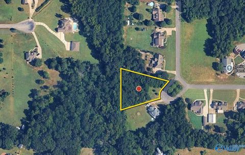 Vacant Land For Sale - 0.9 ACRES Branch Cove Road<br/> Saint Clair County, Odenville, AL 35120