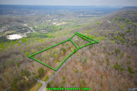 Vacant Land For Sale - 18739 C County Road 89<br/> Mentone, AL 35984