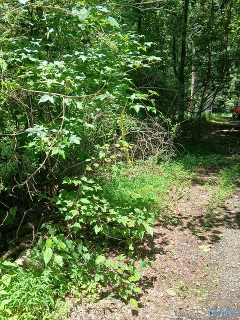 Vacant Land For Sale - 455 Rice Road<br/> Marshall County, Grant, AL 35747