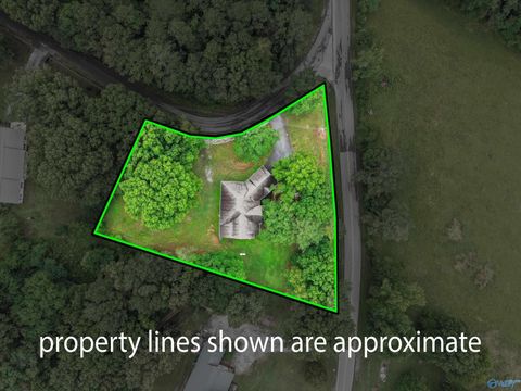 Homes For Sale - 20 Section Mountain Road<br/> Somerville, AL 35670