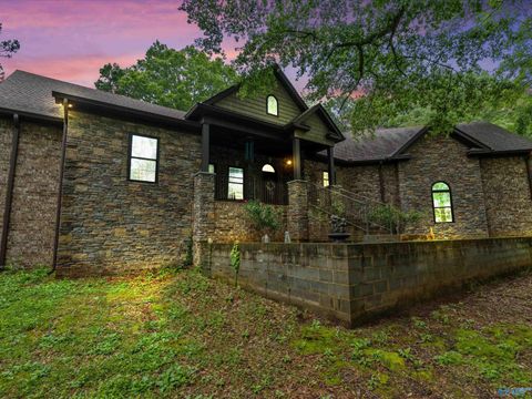 Photo of 20 Section Mountain Road, Somerville, AL 35670 (MLS # 21919479)
