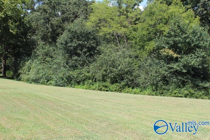 302 County Road 1836