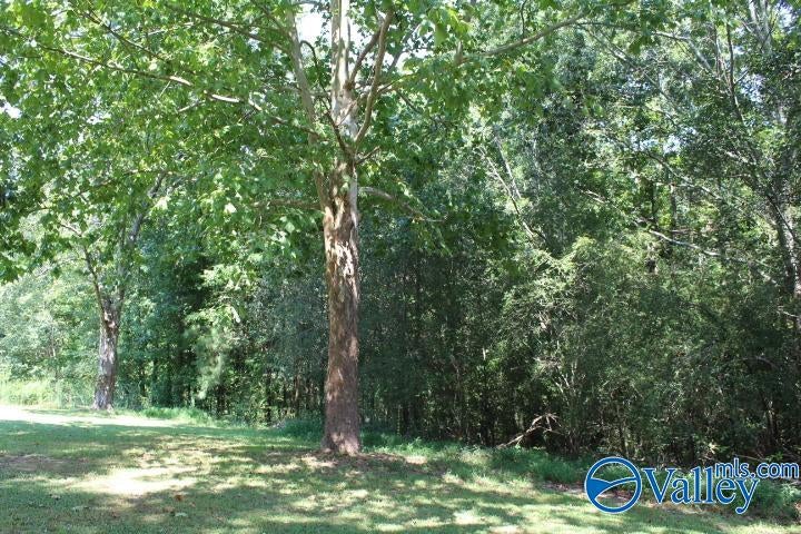 302 County Road 1836