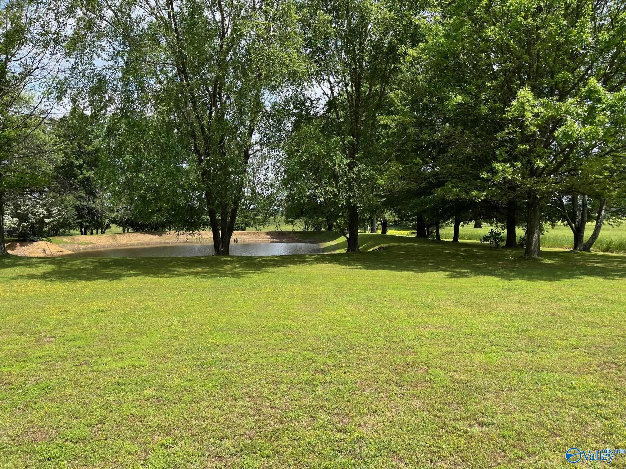 12731 Ripley Road, Athens, Alabama image 36