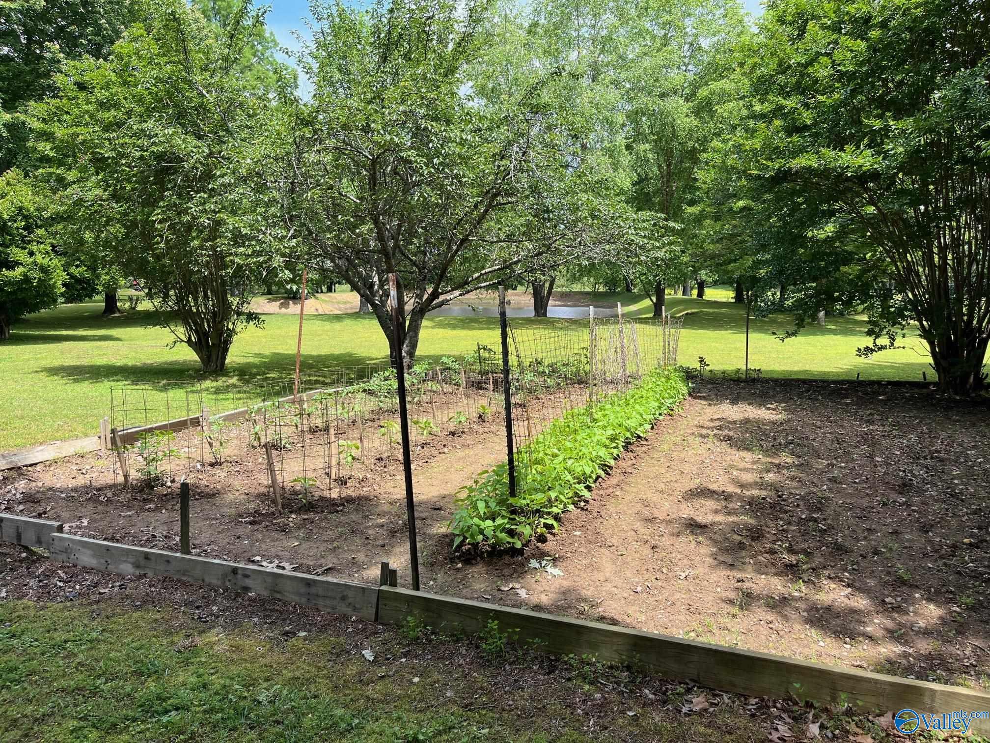 12731 Ripley Road, Athens, Alabama image 29