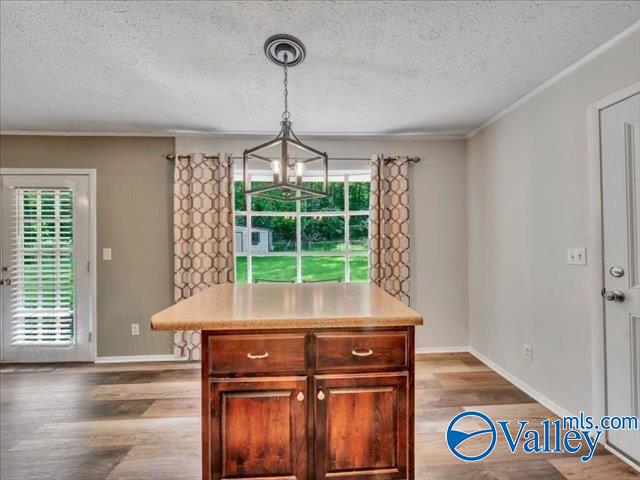 1001 Hood Avenue, Scottsboro, Alabama image 18