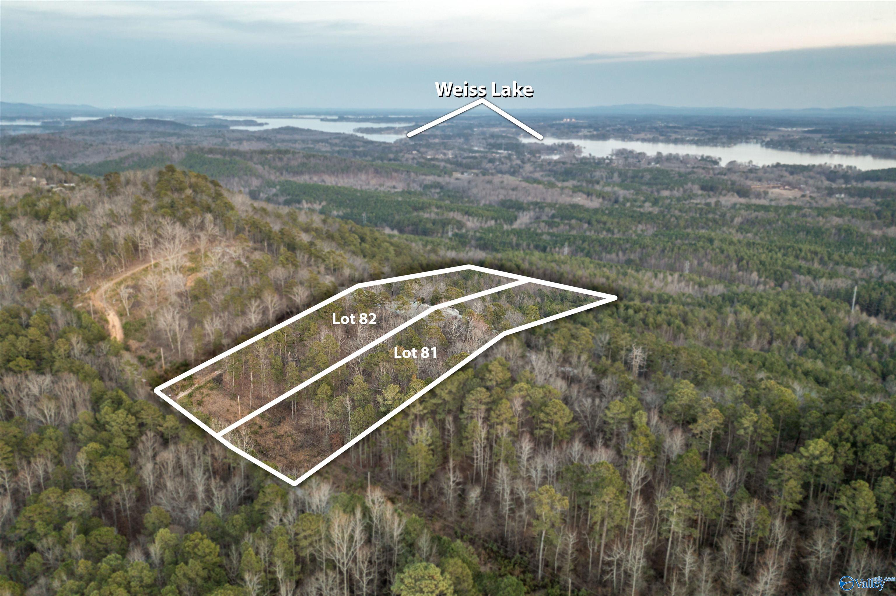 LOT 82 Mauney Lane, Leesburg, Alabama image 2