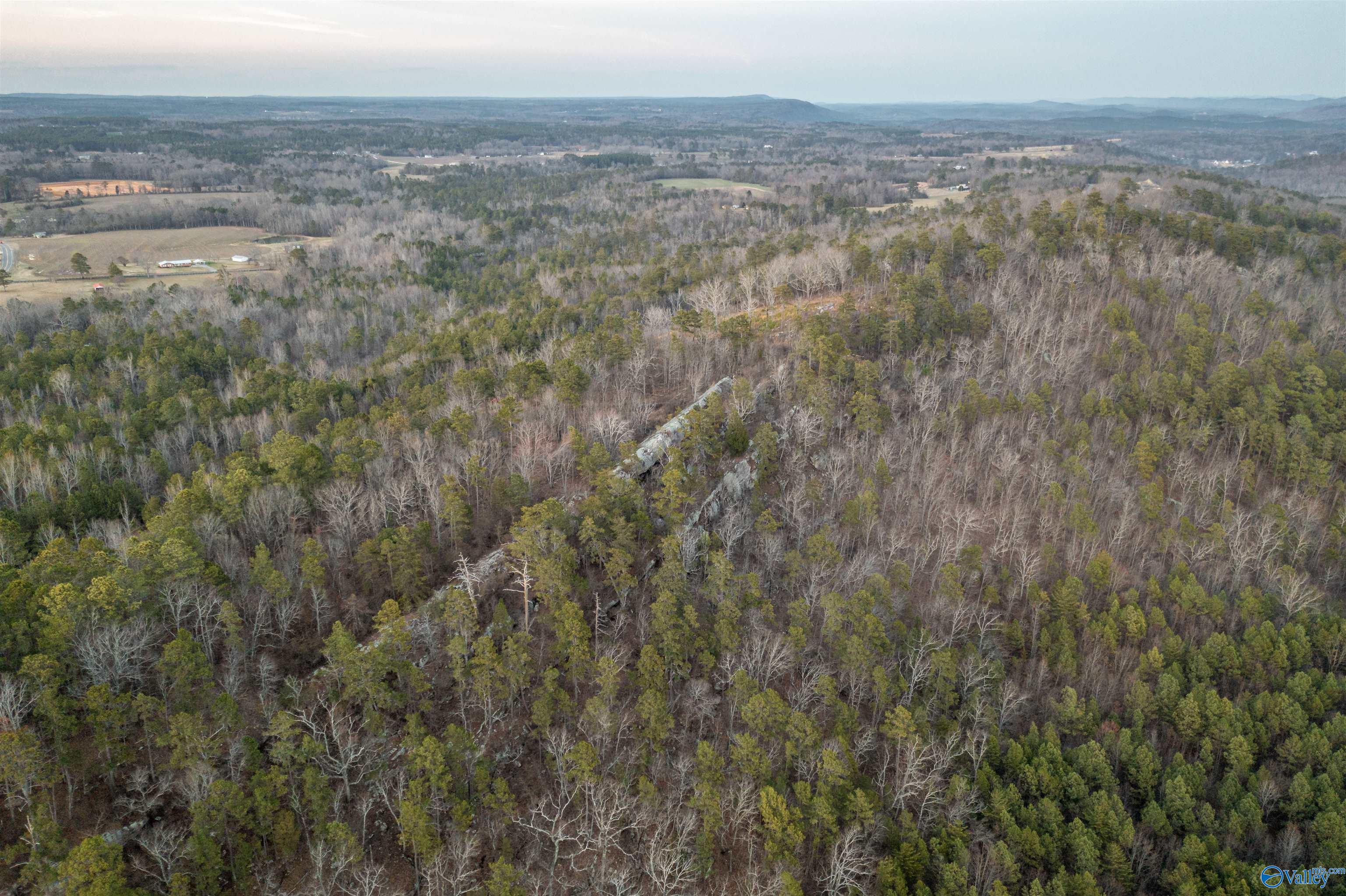 LOT 82 Mauney Lane, Leesburg, Alabama image 11