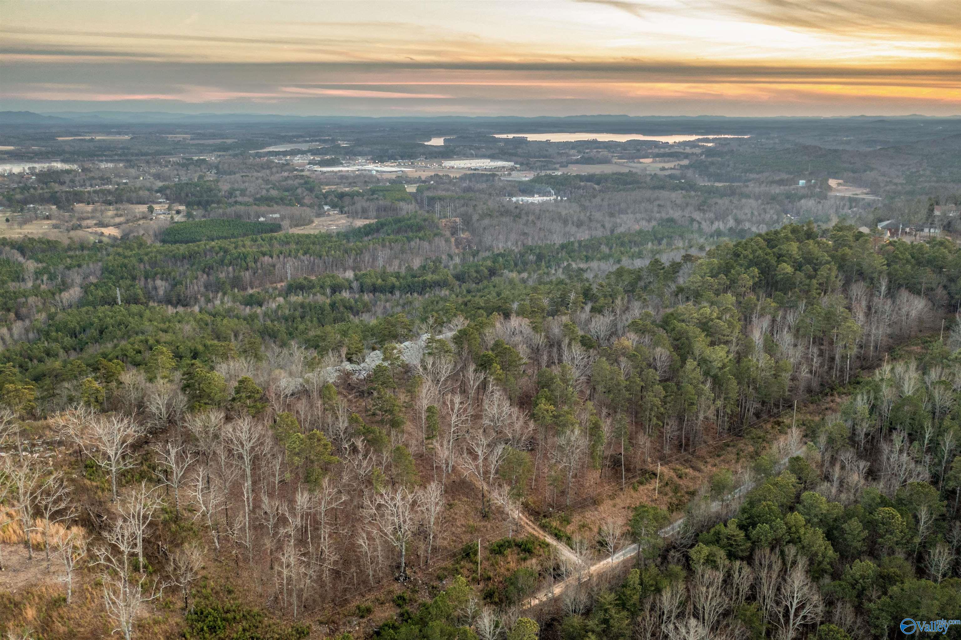 LOT 82 Mauney Lane, Leesburg, Alabama image 4