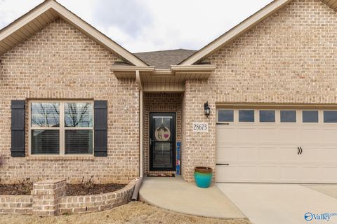 Photo of 28673 Blythe Lane NW, Madison, AL 35756 (MLS # 21909677)