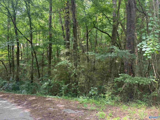 11 DAVIS PL, GADSDEN, AL 35904 - Image 6861178065d2aa441a97befa72f5ddd4/4147562499