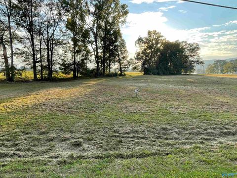 Vacant Land For Sale - 1078 Lake Forest Drive<br/> Etowah County, Southside, AL 35907