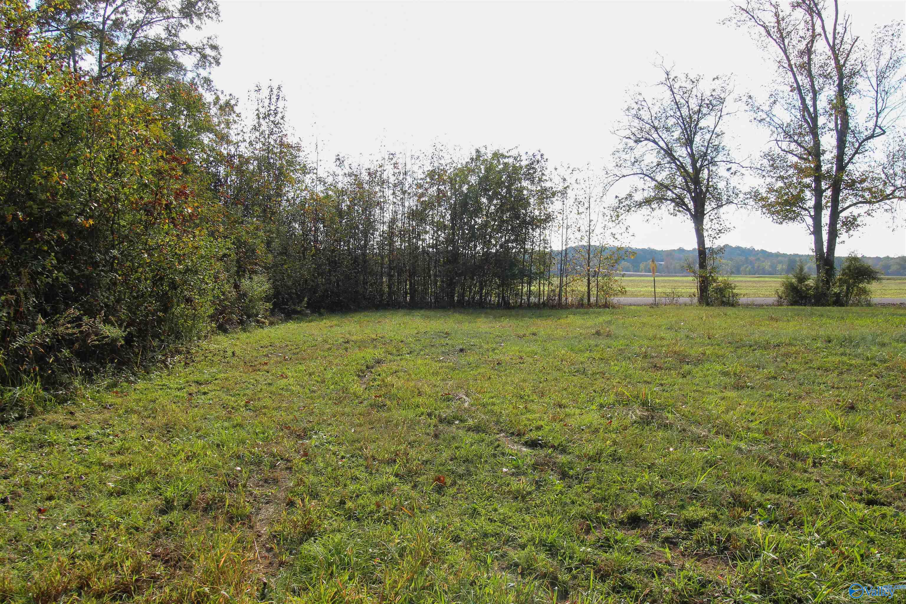 Lot 1 Coates Bend Circle, Gadsden, Alabama image 3