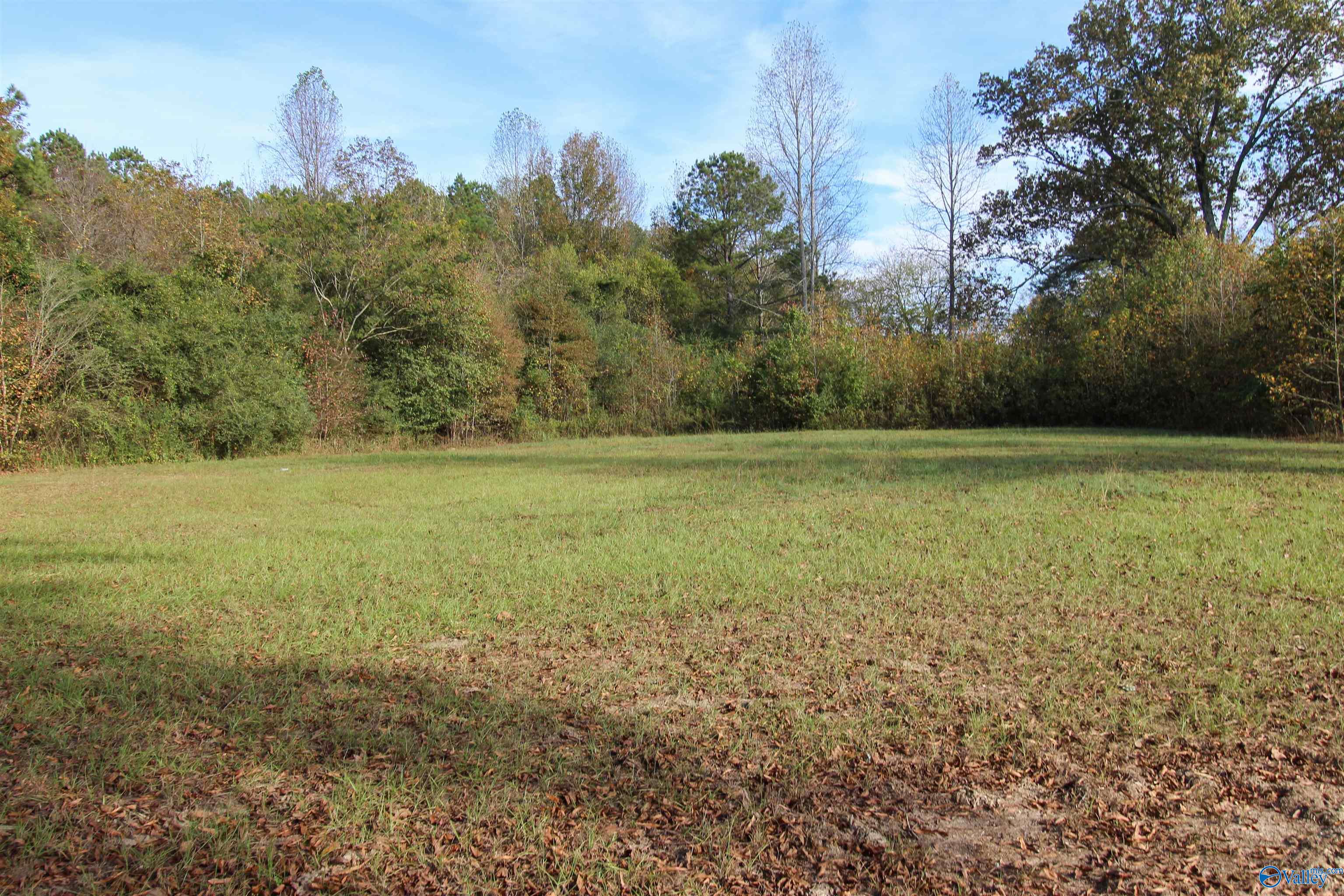 Lot 1 Coates Bend Circle, Gadsden, Alabama image 5