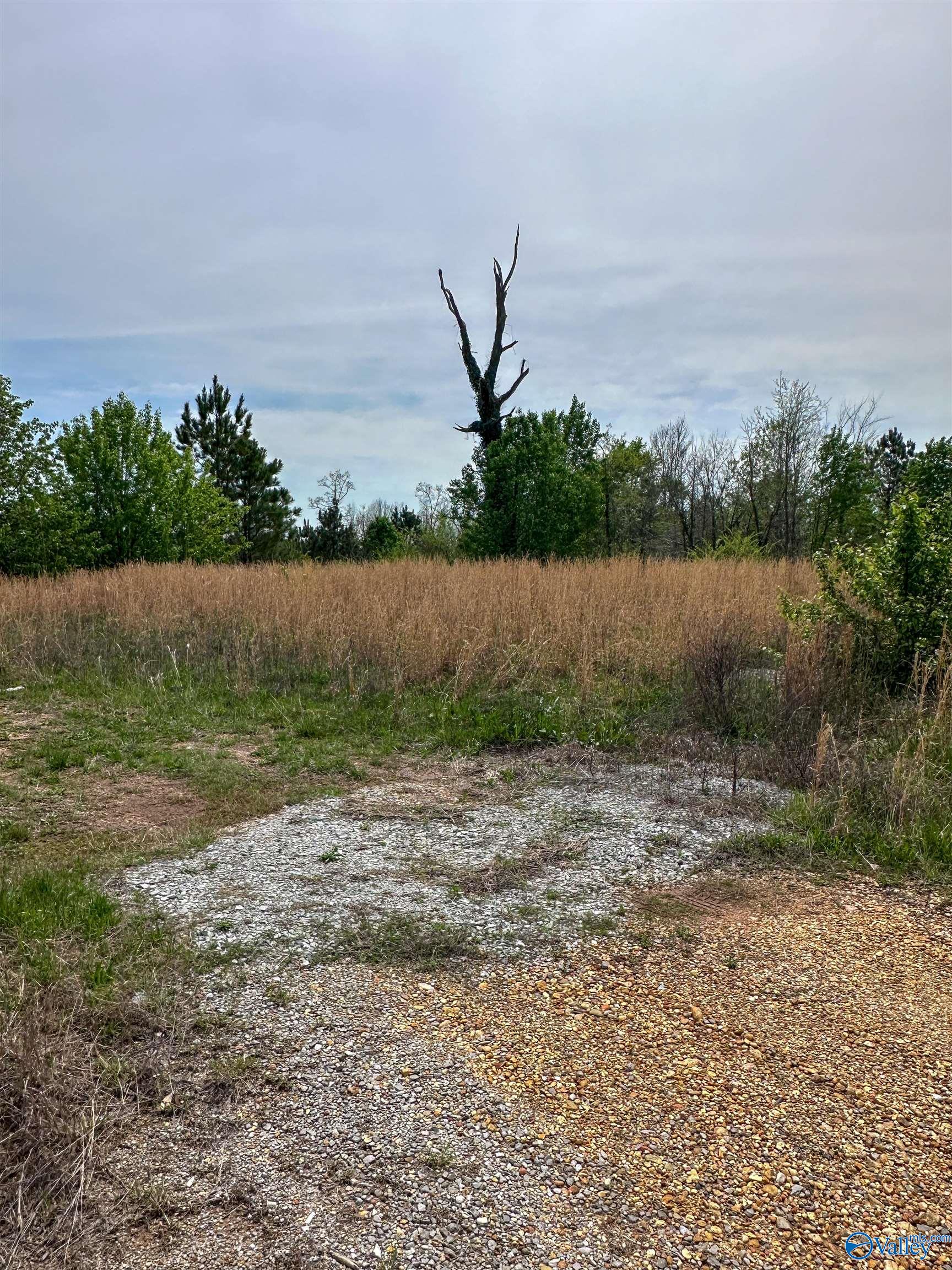 6.15 Acres State Highway 13, Phil Campbell, Alabama image 4