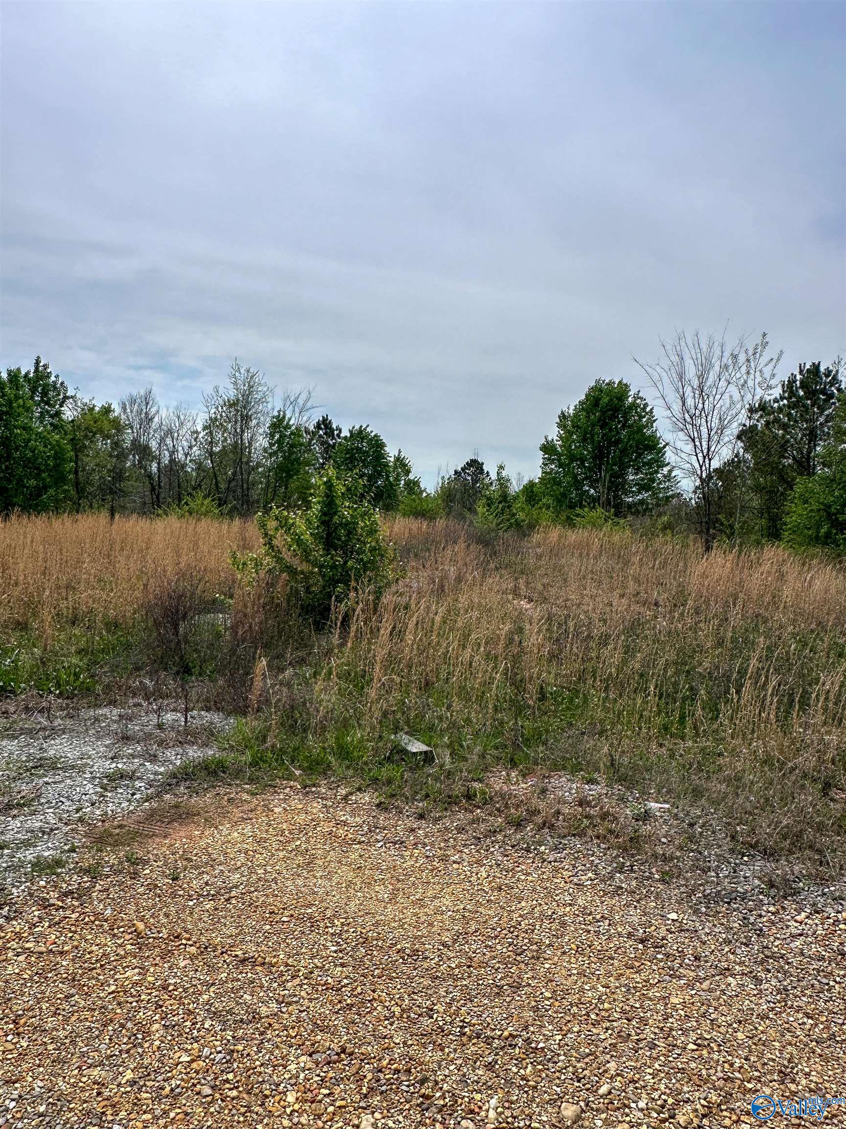 6.15 Acres State Highway 13, Phil Campbell, Alabama image 2