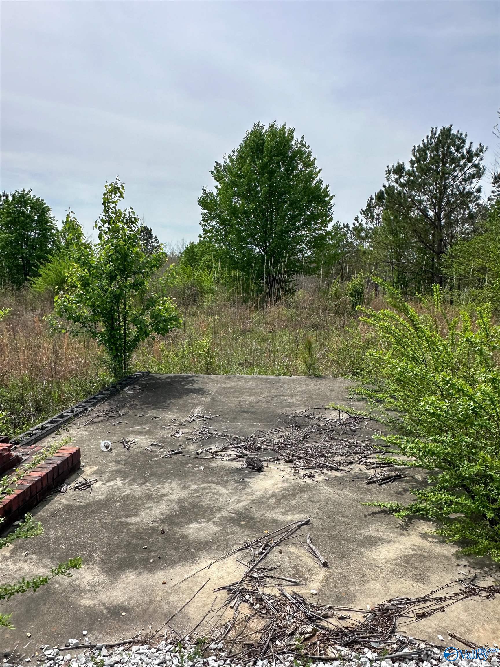 6.15 Acres State Highway 13, Phil Campbell, Alabama image 6