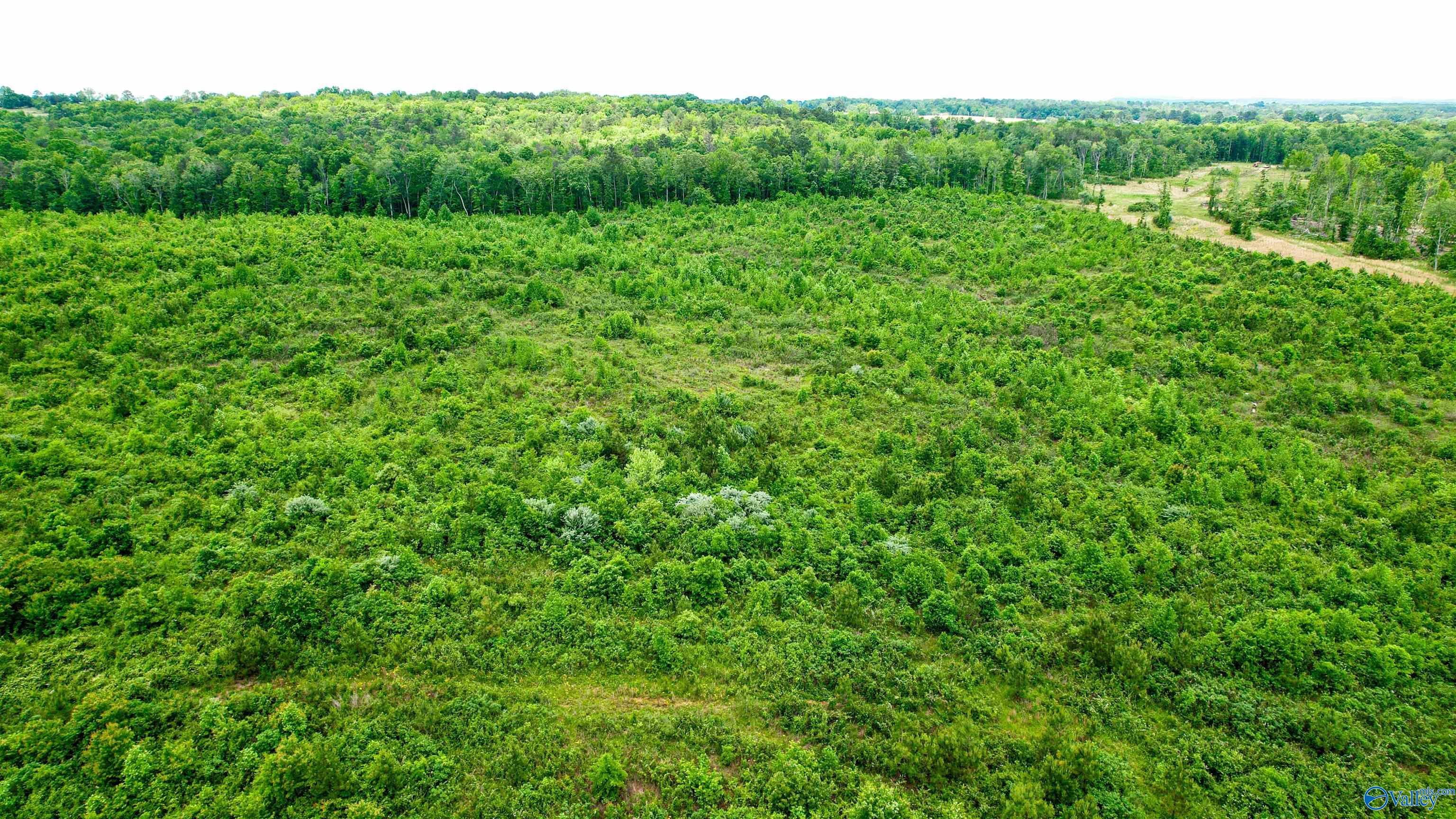 Flat Rock, Alabama 35966, United States, ,Land,Active,181829