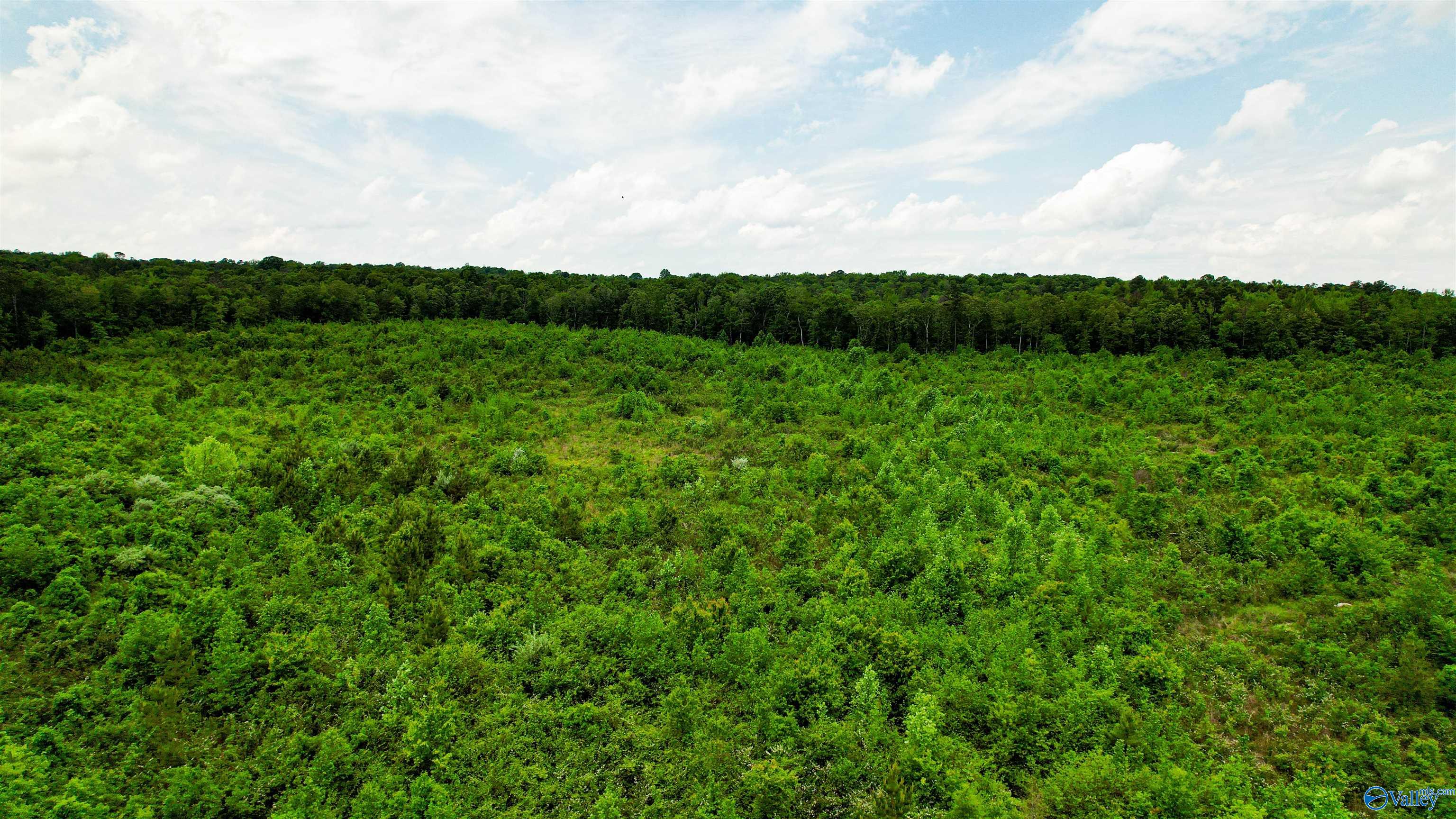 Flat Rock, Alabama 35966, United States, ,Land,Active,181829