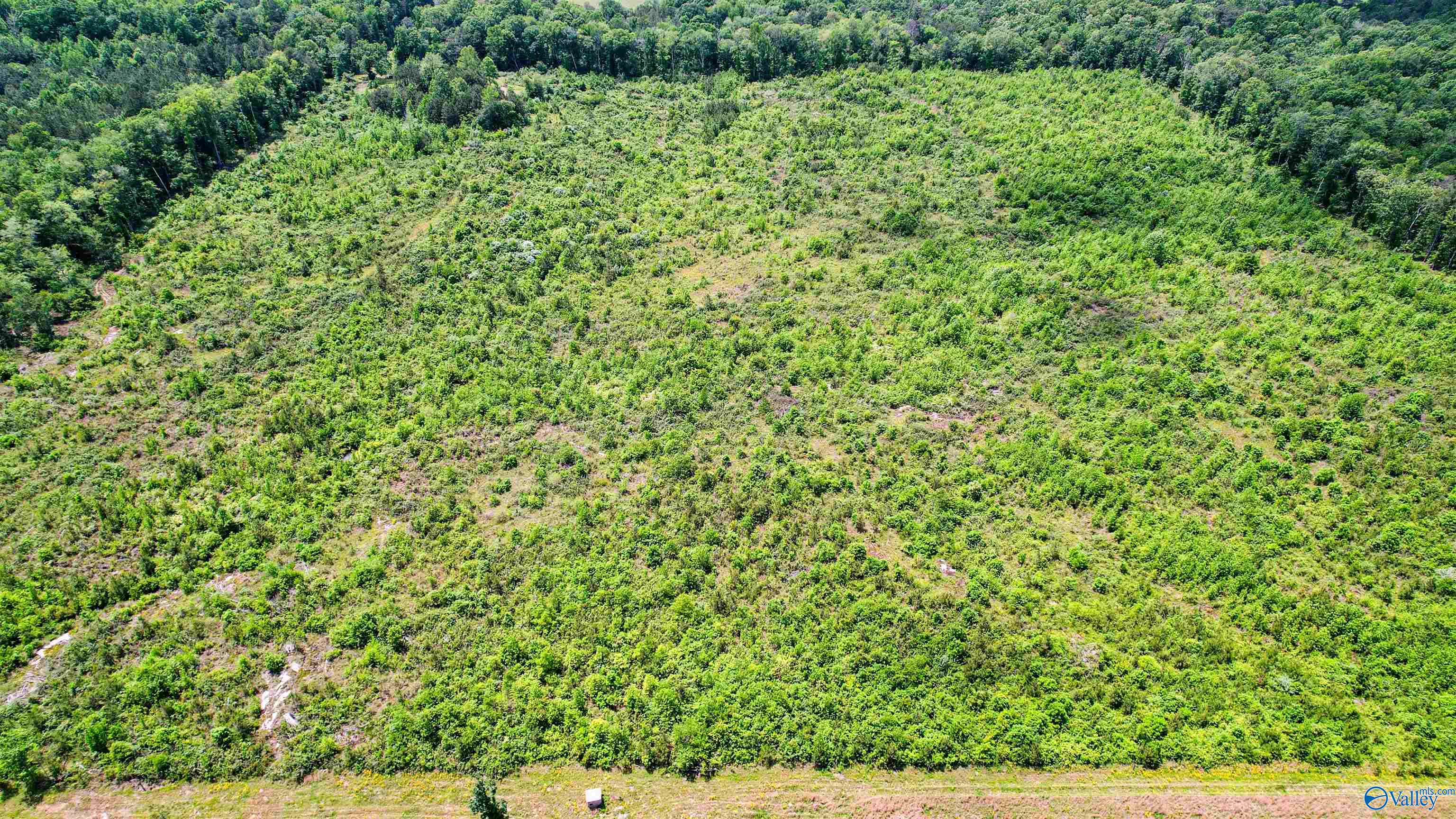 Flat Rock, Alabama 35966, United States, ,Land,Active,181829