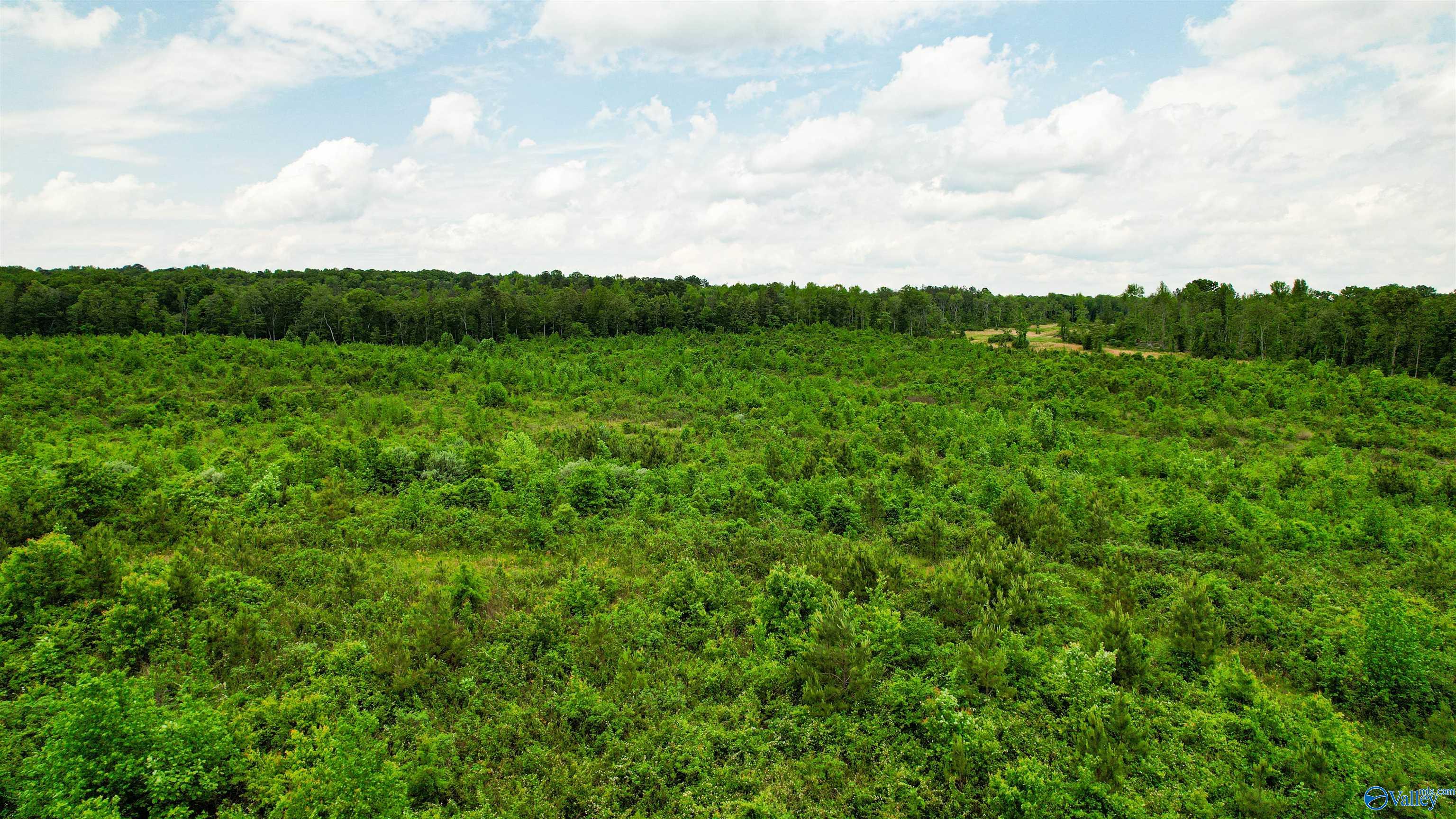 Flat Rock, Alabama 35966, United States, ,Land,Active,181829