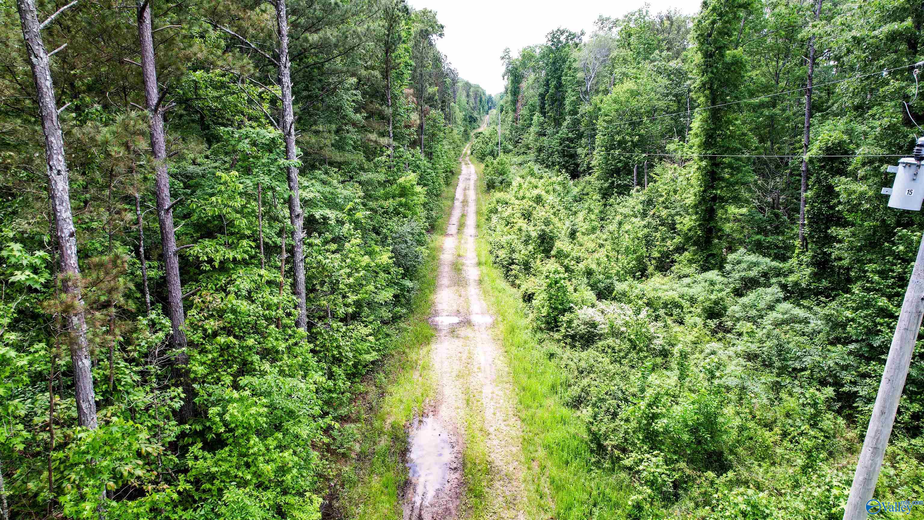 Flat Rock, Alabama 35966, United States, ,Land,Active,181829