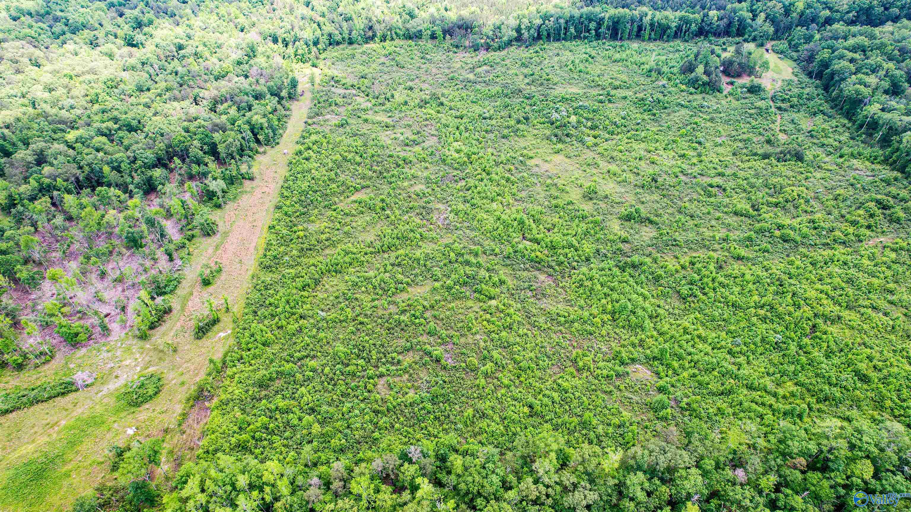 Flat Rock, Alabama 35966, United States, ,Land,Active,181829 Flat Rock, Alabama 35966, United States, ,Land,Active,181829