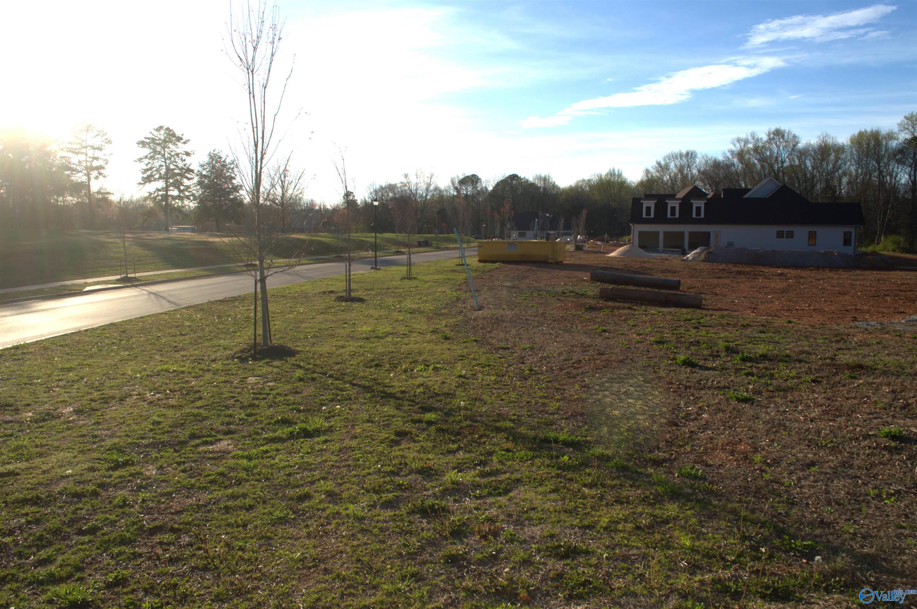 Lot 5 Madison Branch Boulevard, Madison, Alabama image 6