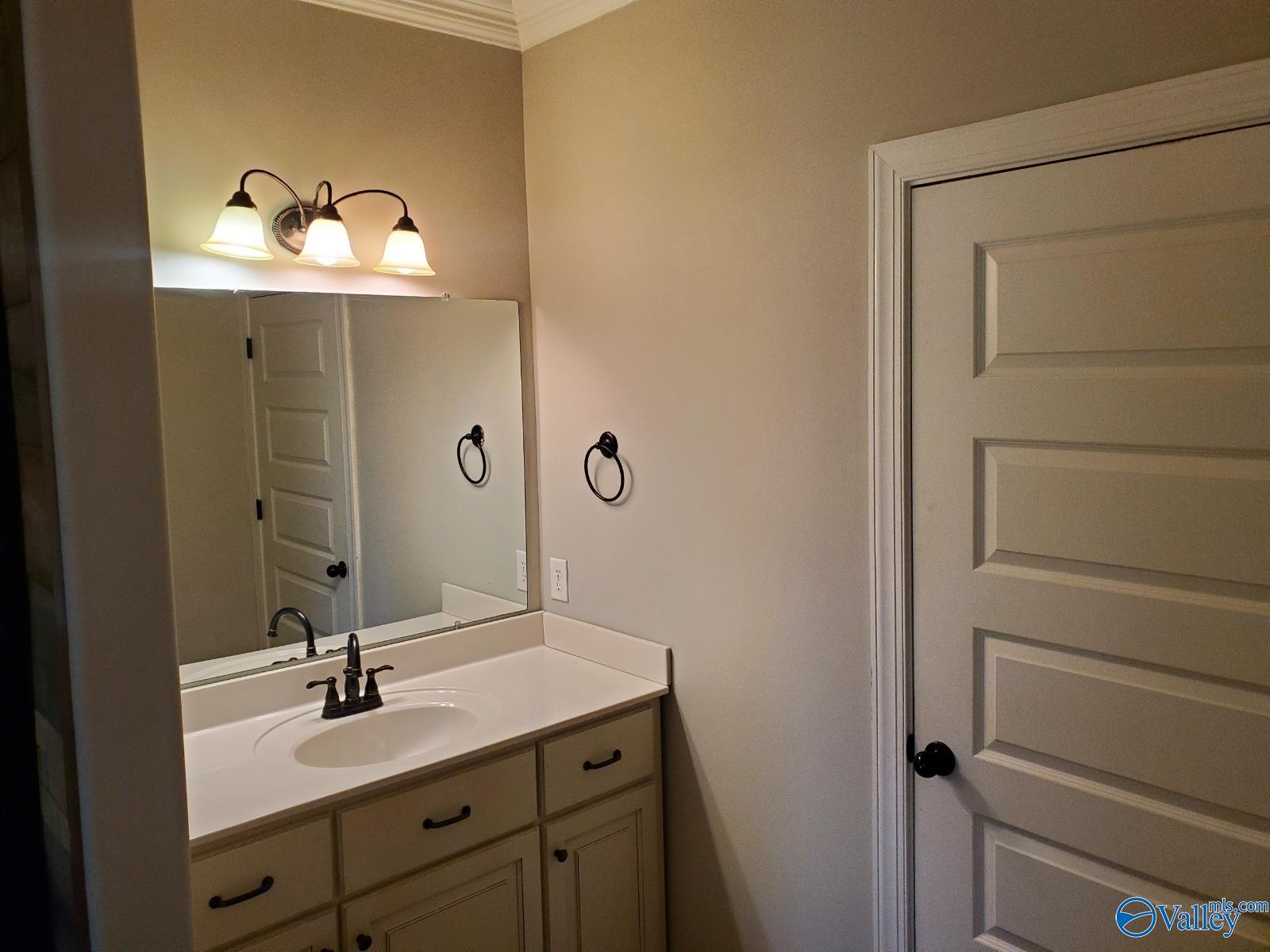 137 Old Eli Road, Toney, Alabama image 19