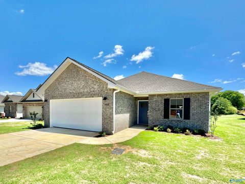 311 Allene Way Meridianville AL 35759