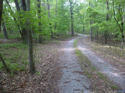 3735 (lot 11) County Road 166 (Citadel Rock Road) Fort Payne AL 35967