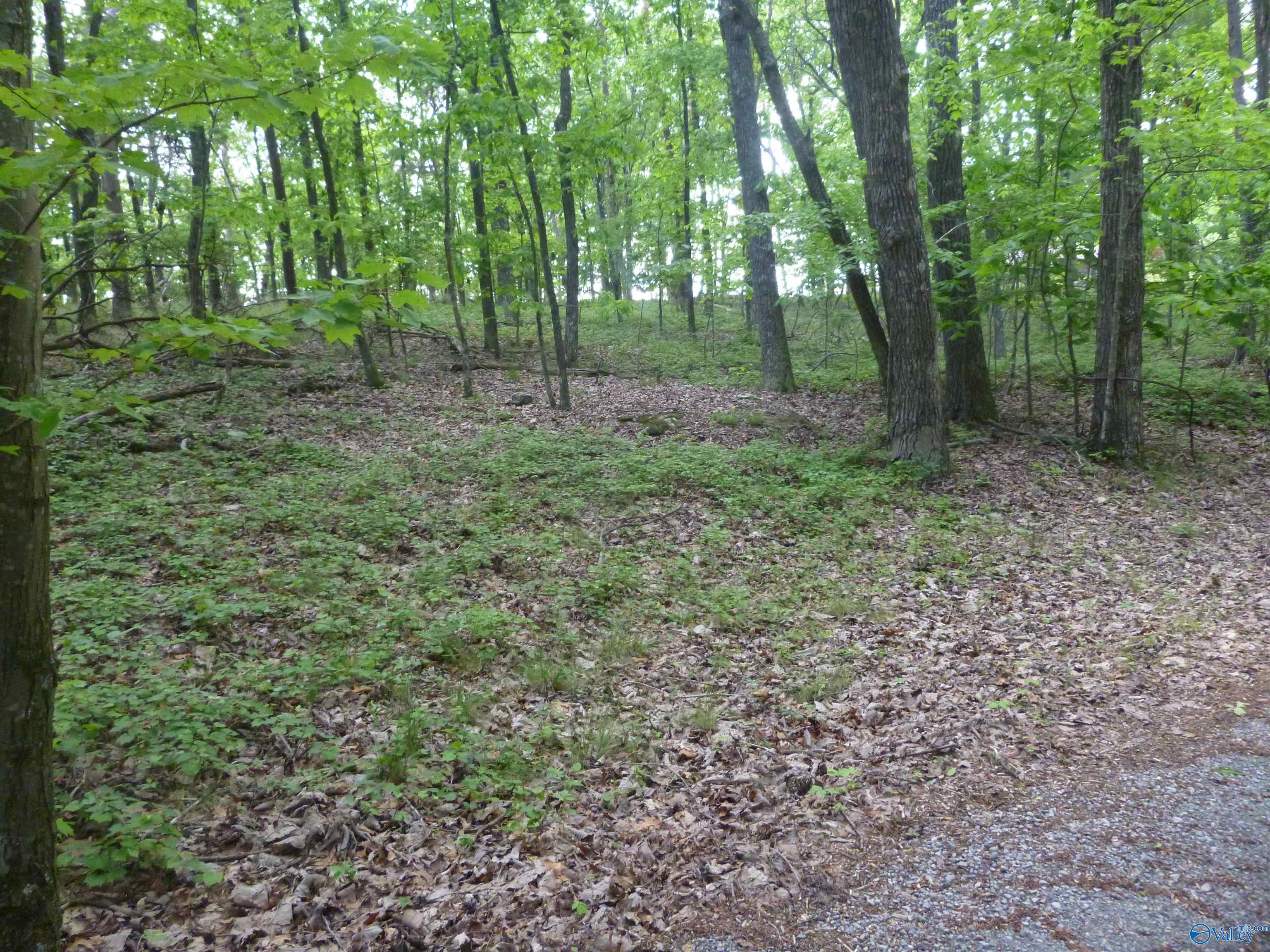 3735 (lot 11) County Road 166 (citadel Rock Road), Fort Payne, Alabama image 9
